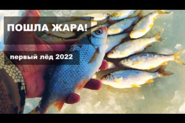 Спрут мега кракен
