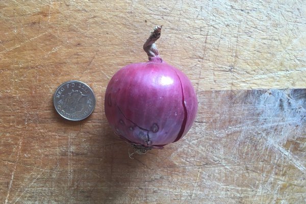 Kraken рабочее зеркало onion