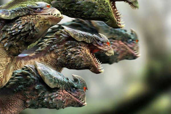Kraken19 at