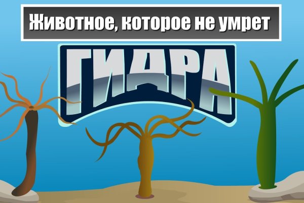Kraken ссылка tor официальный сайт